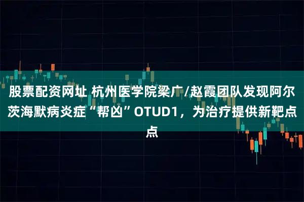 股票配资网址 杭州医学院梁广/赵霞团队发现阿尔茨海默病炎症“帮凶”OTUD1，为治疗提供新靶点