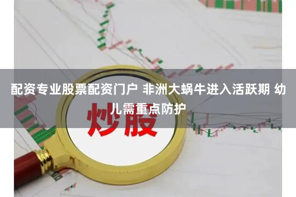 配资专业股票配资门户 非洲大蜗牛进入活跃期 幼儿需重点防护