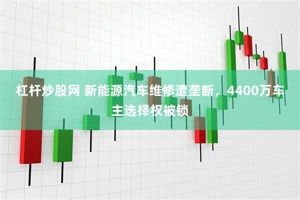 杠杆炒股网 新能源汽车维修遭垄断，4400万车主选择权被锁